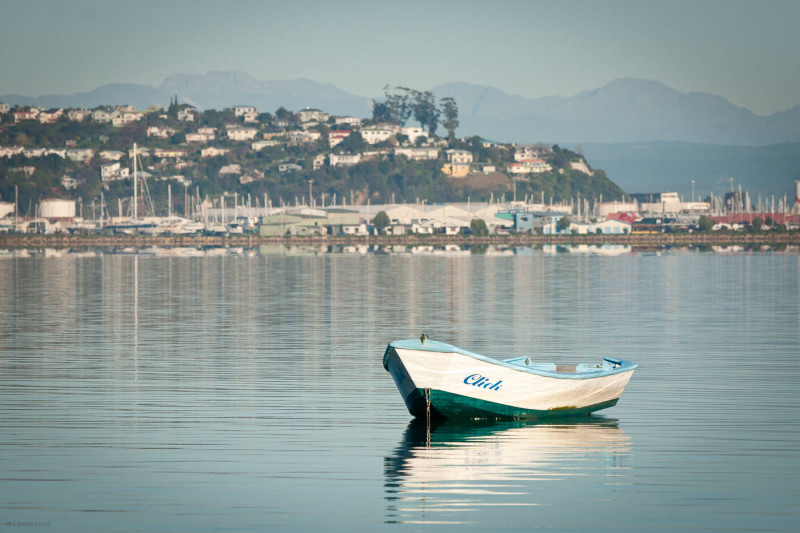 Nelson Estuary and Marina 