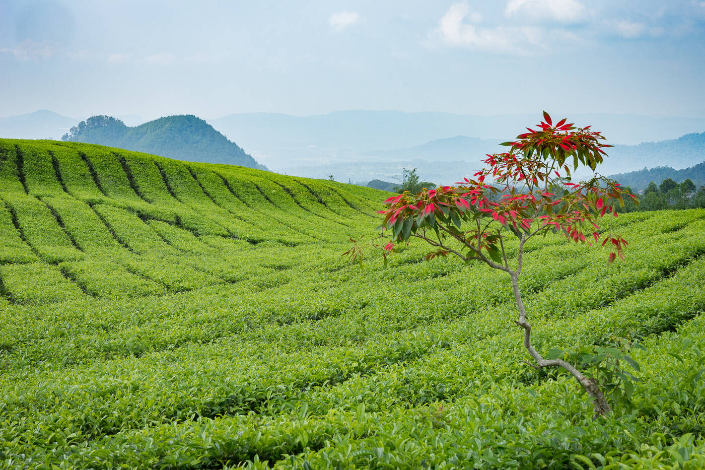 Indonesia 